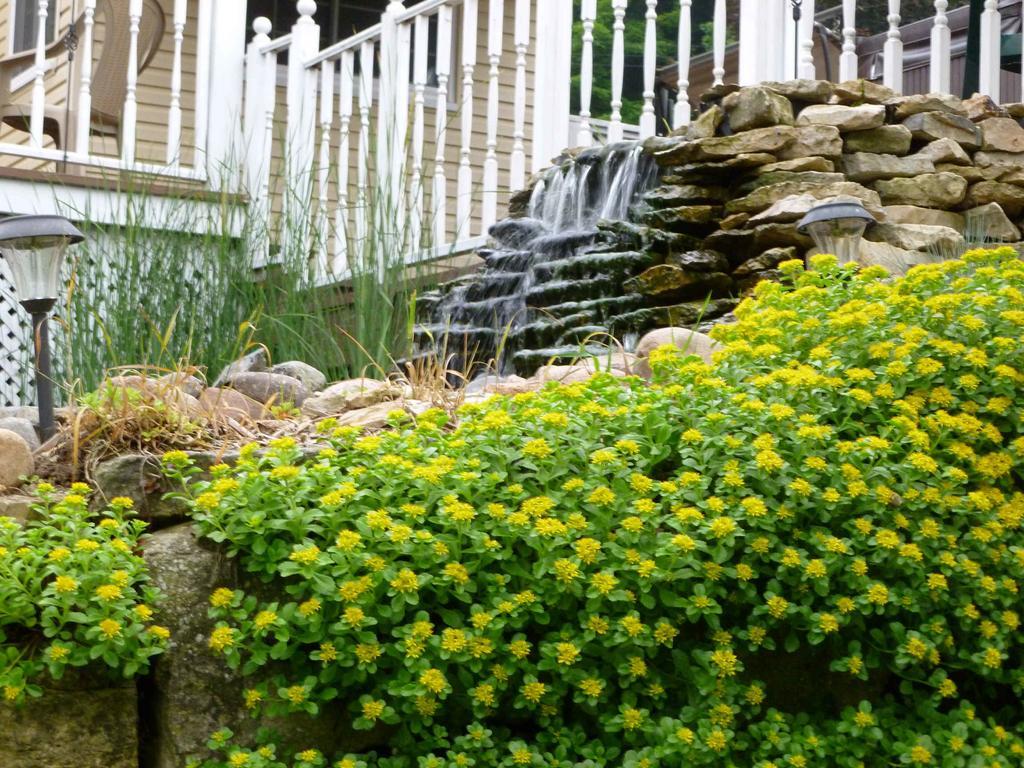 Trickling Waters Retreat Villa Marquette Eksteriør billede