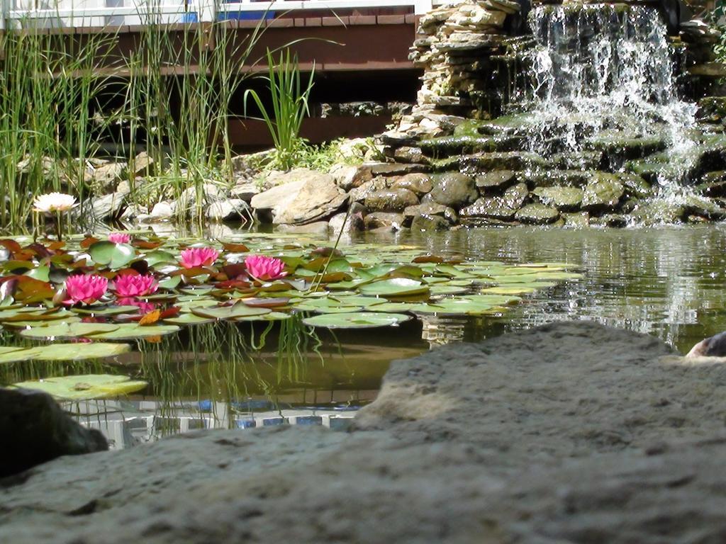 Trickling Waters Retreat Villa Marquette Eksteriør billede