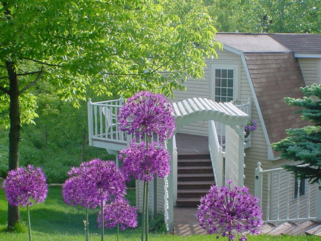 Trickling Waters Retreat Villa Marquette Eksteriør billede